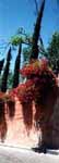 San Miguel de Allende (47 Kb)